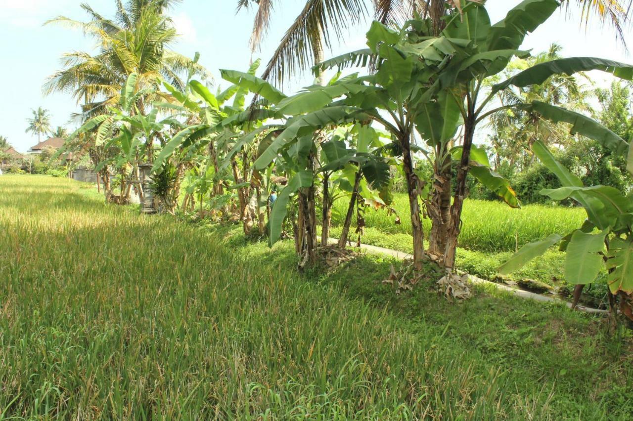Ubud River Campuhan Villa Exterior photo