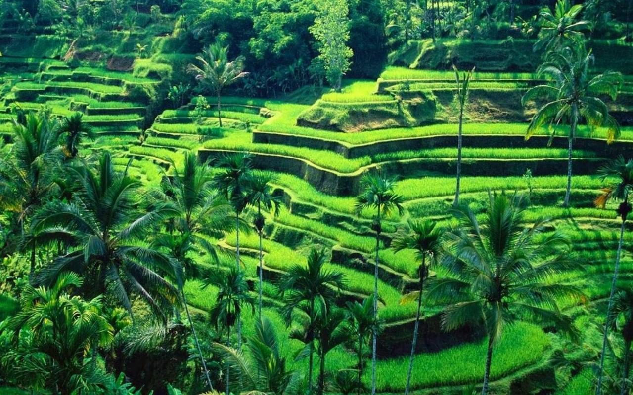 Ubud River Campuhan Villa Exterior photo